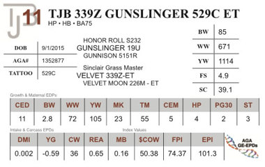 Lot 11 - TJB 339Z GUNSLINGER 529C ET